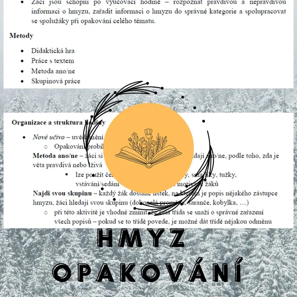 Plán vyučovací hodiny - Hmyz - opakování 1