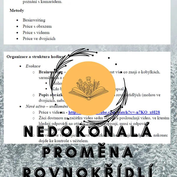 Plán vyučovací hodiny – hmyz – nedokonalá proměna - rovnokřídlí 1