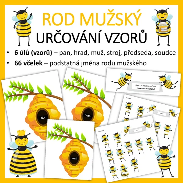 Rod MUŽSKÝ - určování vzorů 1