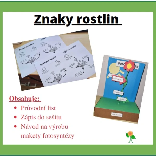 Znaky rostlin, fotosyntéza, dýchání rostlin 1