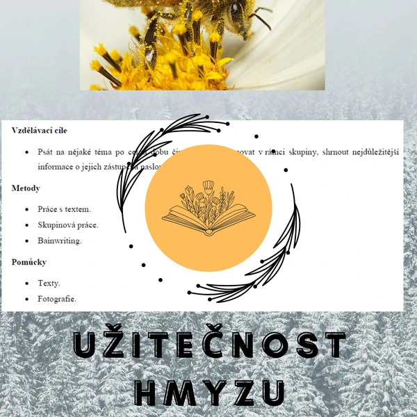 Příprava vyučovací hodiny - Hmyz a jeho užitečnost 1