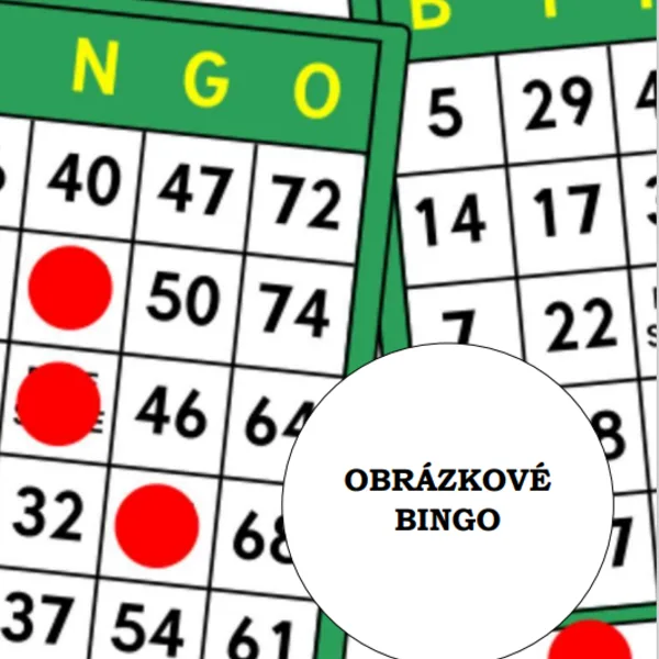 Obrázkové bingo  1