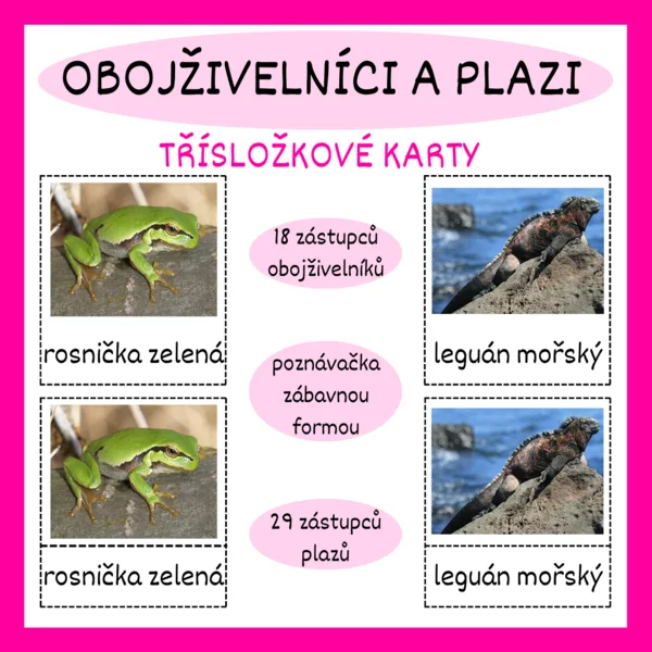 OBOJŽIVELNÍCI A PLAZI - třísložkové karty 1