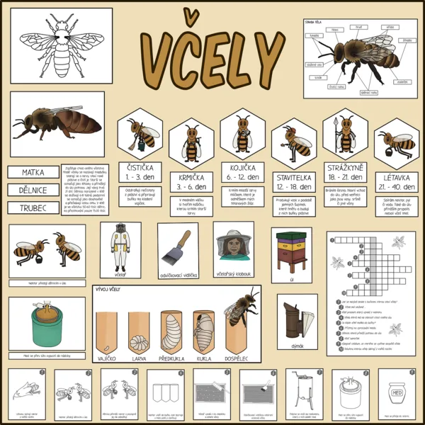 Včely 1