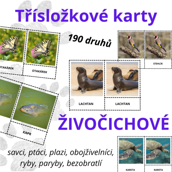 Živočichové - Třísložkové karty: velký set (190 druhů živočichů) 1