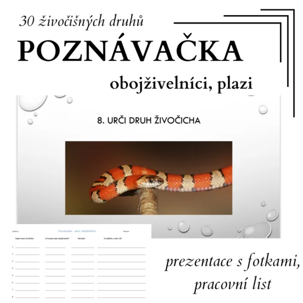 POZNÁVAČKA - plazi, obojživelníci (prezentace a pracovní listy) 1