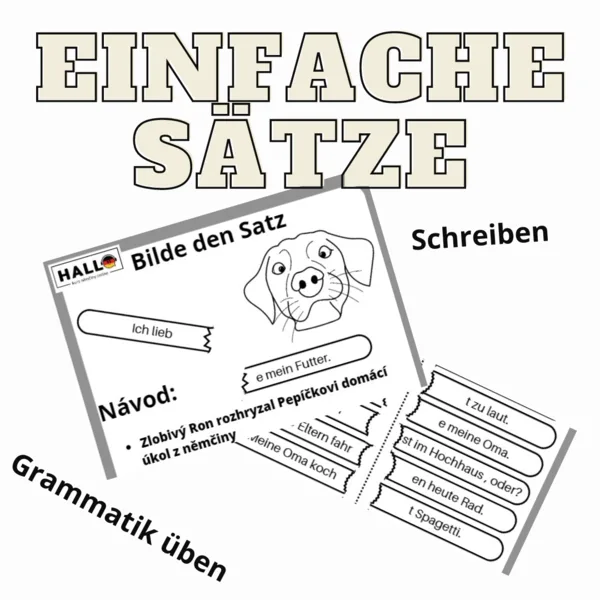 Bilde den Satz, einfache Sätze im Präsens 1