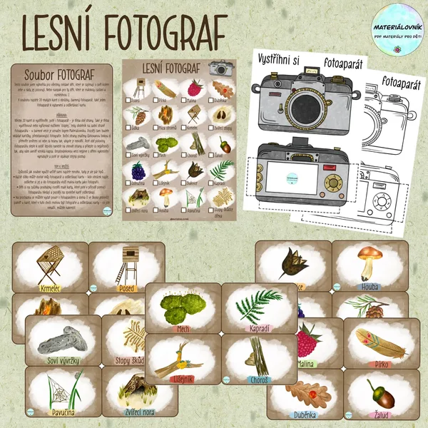 Lesní fotograf - příroda 1