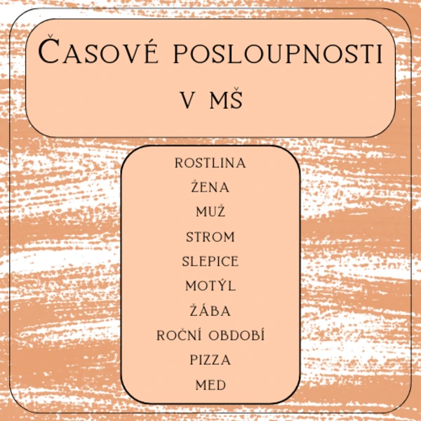 Časové posloupnosti v MŠ 1
