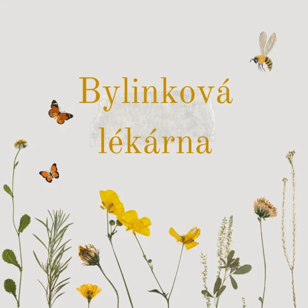 Bylinková lékárna 1
