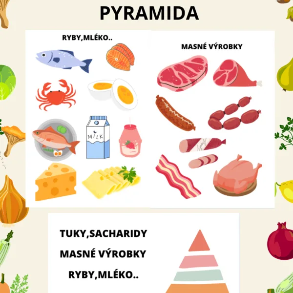 Potravinová pyramida 1