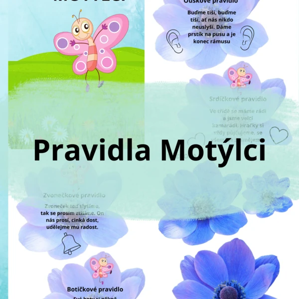 Pravidla třídy Motýlci 1