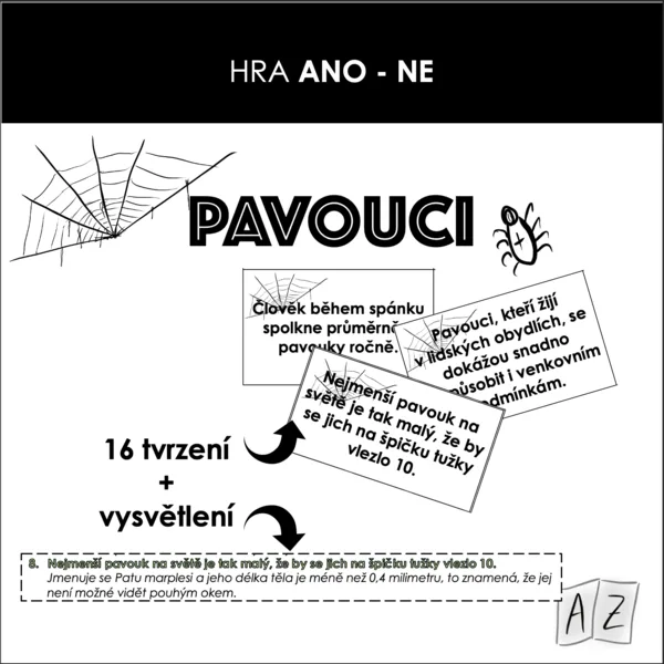 Hra ANO/NE - pavouci 1