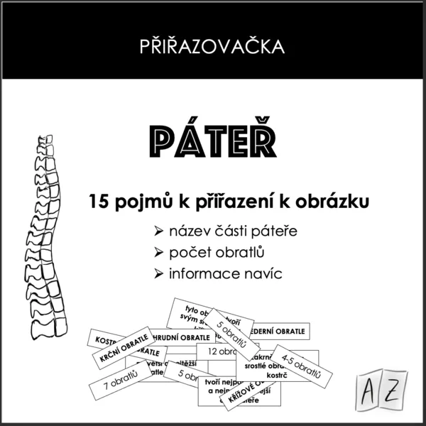 Přiřazovačka - páteř 1