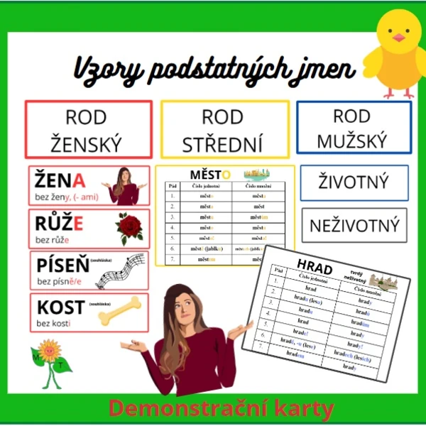 Vzory podstatných jmen - demonstrační karty 1