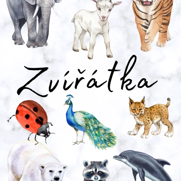 Zvířátka - pantomima, hádej kdo jsem 1
