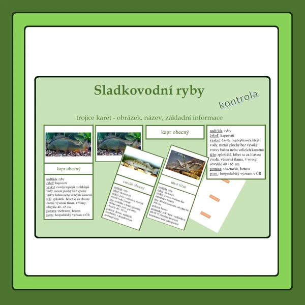 Sladkovodní ryby - trojice 1