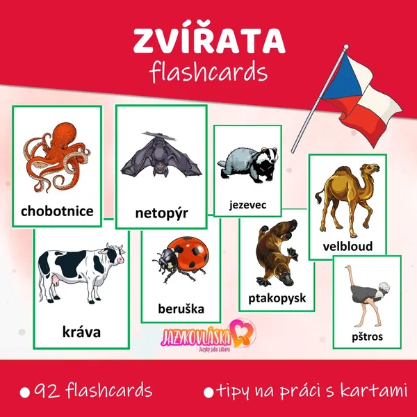 Zvířata flashcards 1