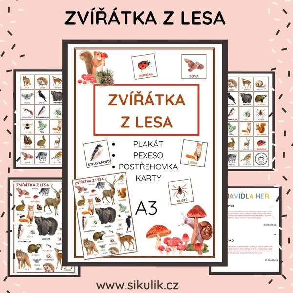 ZVÍŘÁTKA Z LESA plakát, pexeso, postřehovka, karty A3 1