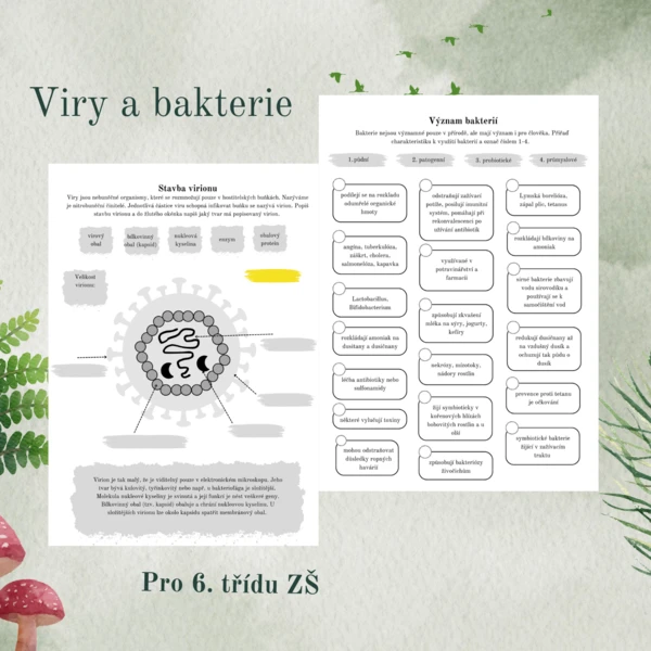 Viry a bakterie 1