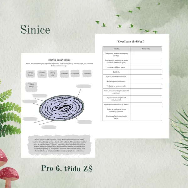 Sinice 1
