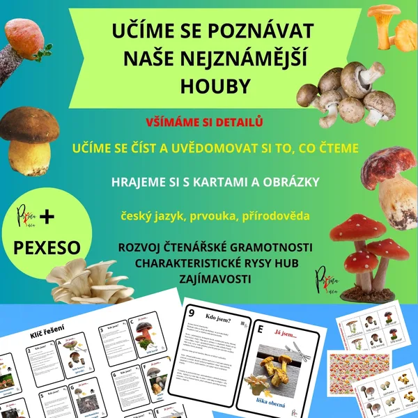 UČÍME SE POZNÁVAT NAŠE NEJZNÁMĚJŠÍ HOUBY - aktivity mimo lavice 1