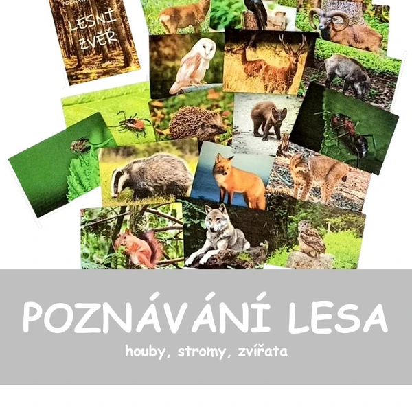 POZNÁVÁNÍ LESA - zvířata, stromy, houby 1