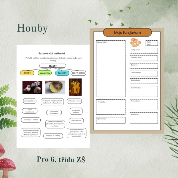 Houby 1