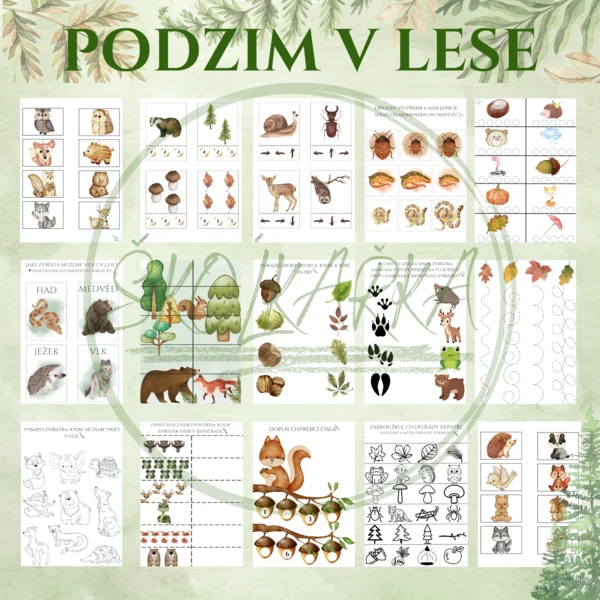 PODZIM V LESE 1