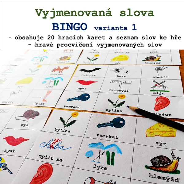 Bingo - Vyjmenovaná slova 1 1
