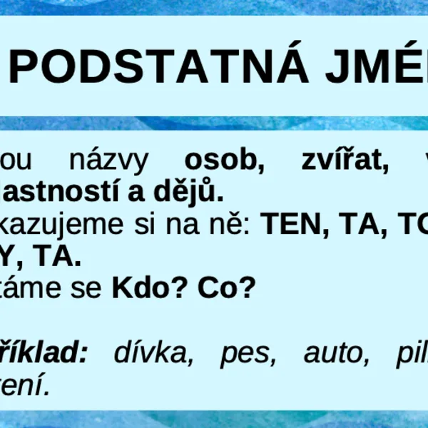 Slovní druhy + Přehledová karta 1