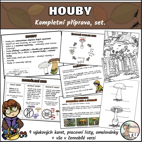 Houby - kompletní příprava, set 1