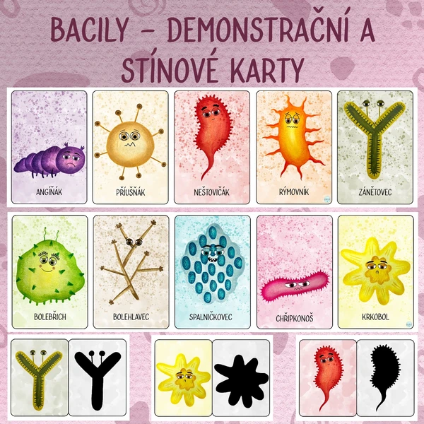 Bacily - Demonstrační a stínové karty 1