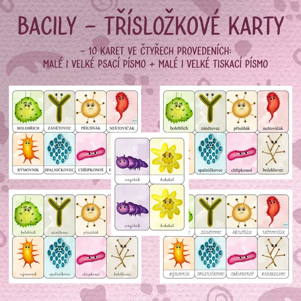 Bacily - Třísložkové karty 1