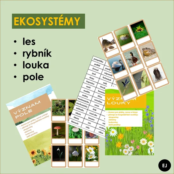 Ekosystémy 1
