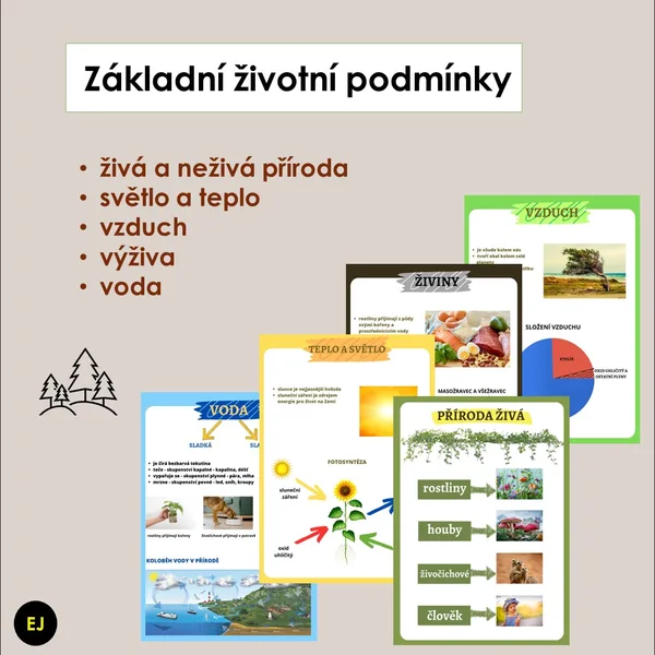 Základní životní podmínky 1