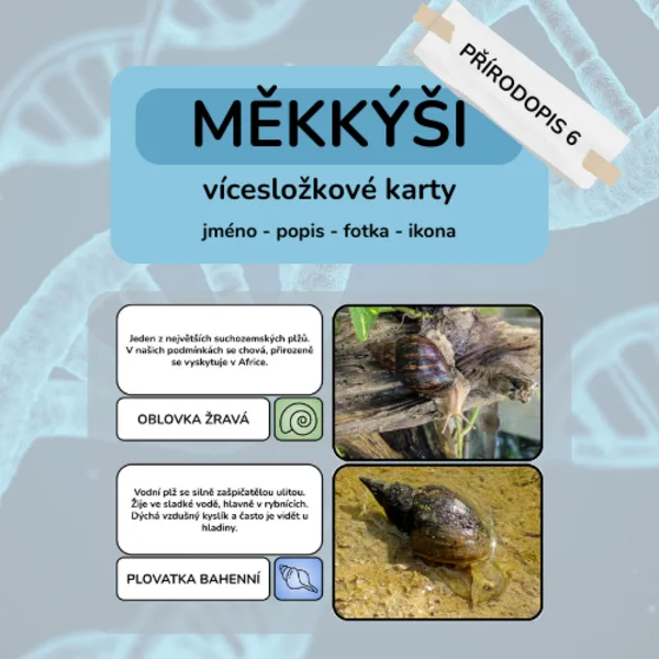 Měkkýši - vícesložkové karty 1