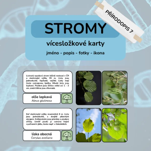 Stromy - vícesložkové karty 1