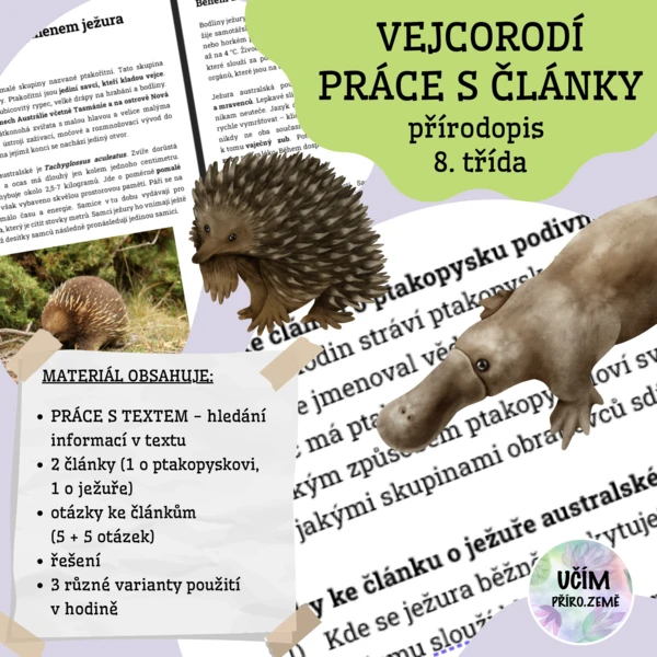 Práce s články - vejcorodí 1