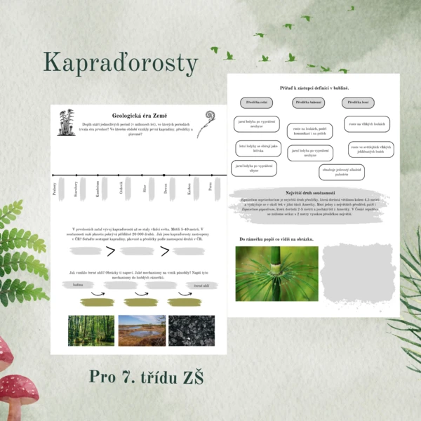 Kapraďorosty - plavuně, přesličky, kapradiny 1
