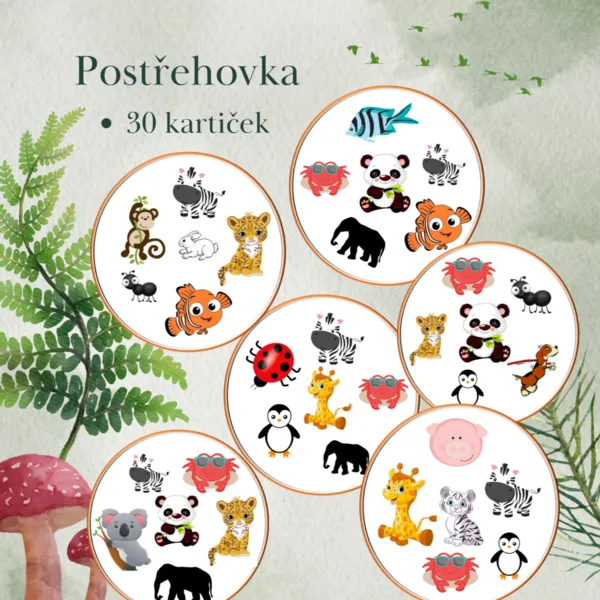 Postřehovka - zvířata 1