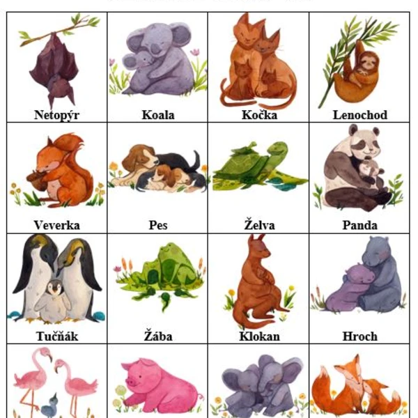 Bingo - zvířátka  1