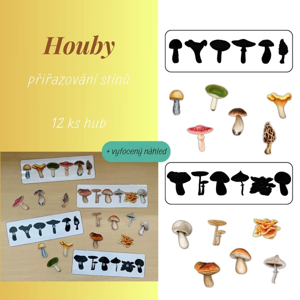 Houby - stíny 1