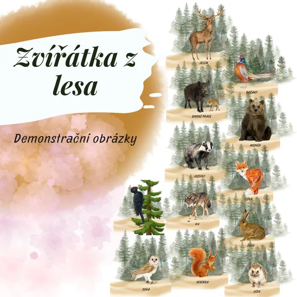 Zvířátka z lesa  - demonstrační obrázky 1