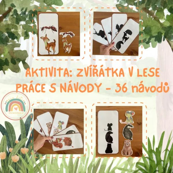 Zvířátka v lese - aktivity do MŠ 1