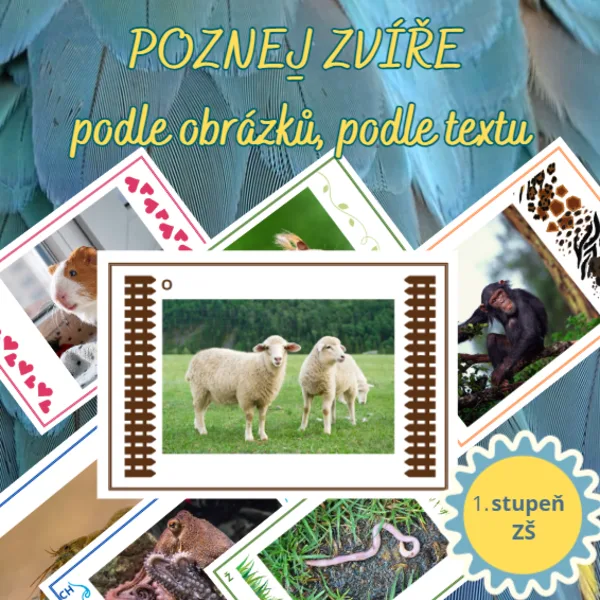 Poznej HOSPODÁŘSKÁ ZVÍŘATA - podle obrázků, podle textu 1