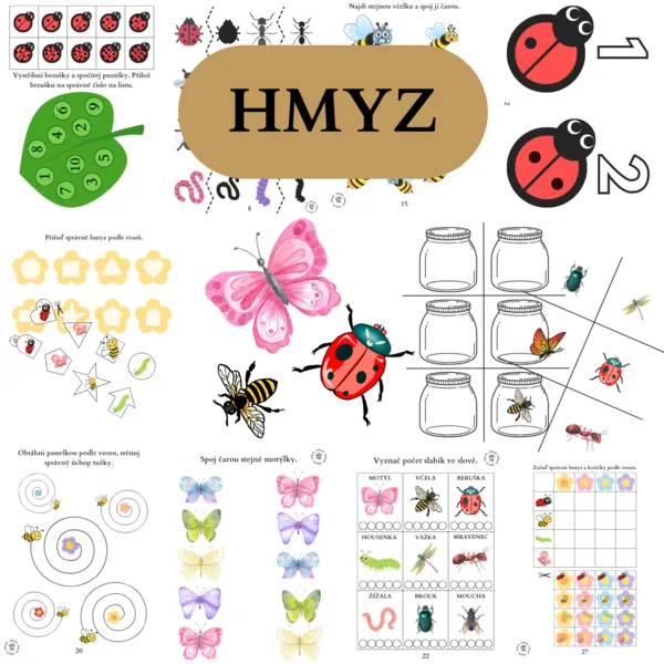 Hmyz 1