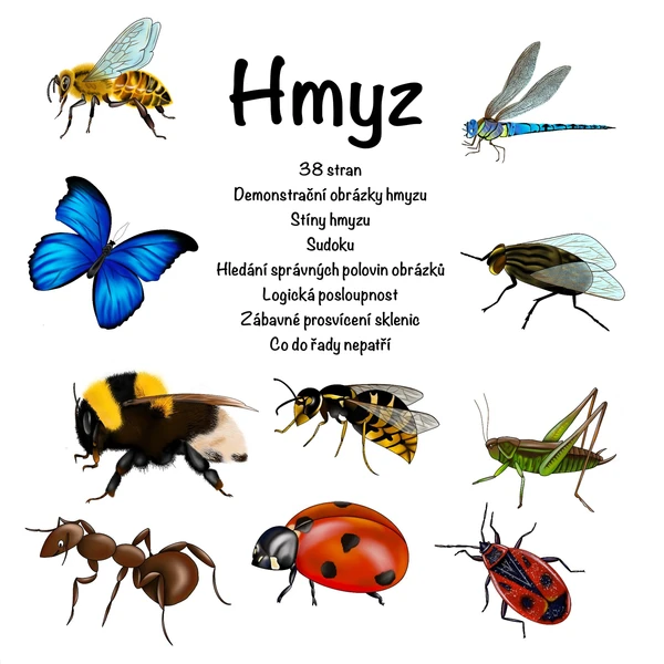 Hmyz 1