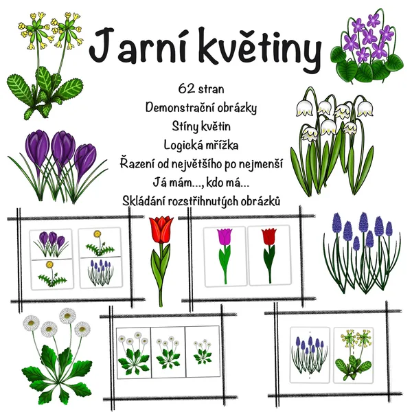 Jarní květiny 1