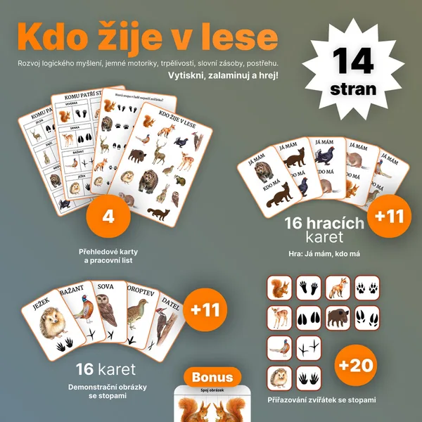 Kdo žije v lese 1